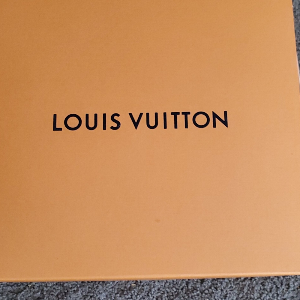 Louis Vuitton Handbag